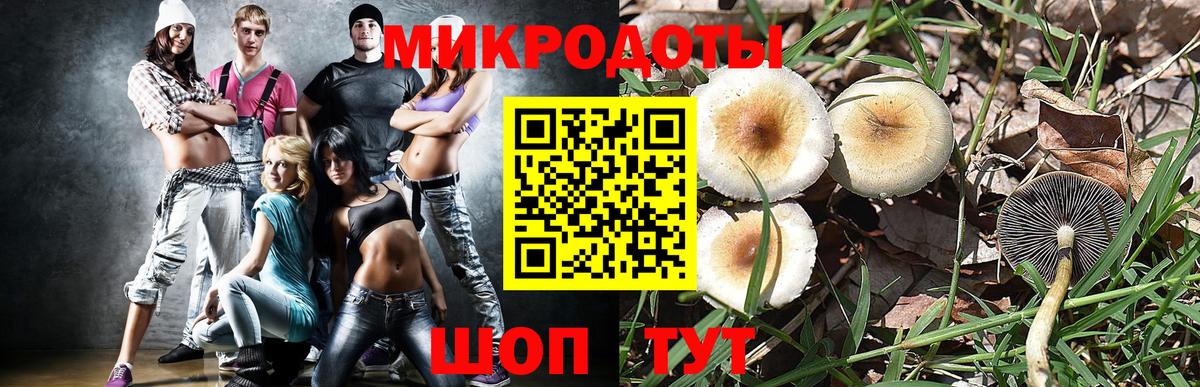 Галлюциногенные грибы Magic Shrooms Назрань