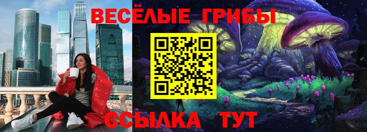 Назрань  Галлюциногенные грибы прущие грибы  Вход с VPN 